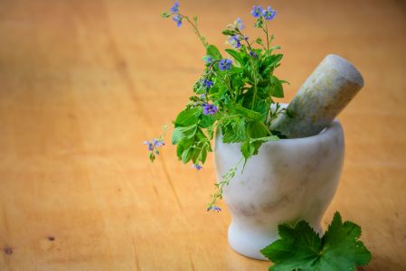 Exploring the World of Herbal Remedies: Nature’s Healing Gifts