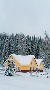 Essential Items to Have on Your Homestead in Winter