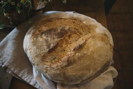 Why Sourdough is So Popular Right Now: A Deep Dive into the Trend