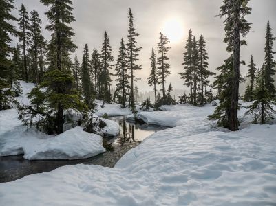 Surviving the Winter Months Outdoors: A Comprehensive Guide